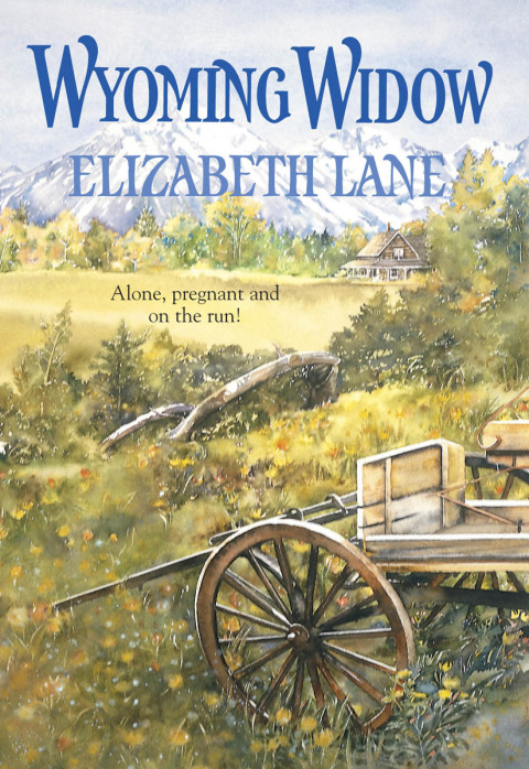 Cover image for book WYOMING WIDOW