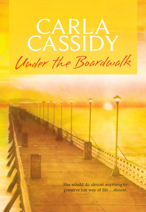 Cover image for book UNDER THE BOARDWALK