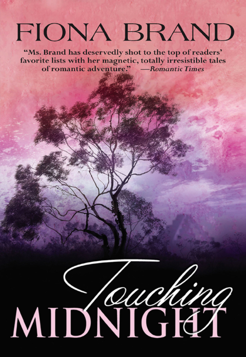 Cover image for book Touching Midnight