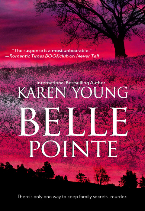 Cover image for book Belle Pointe