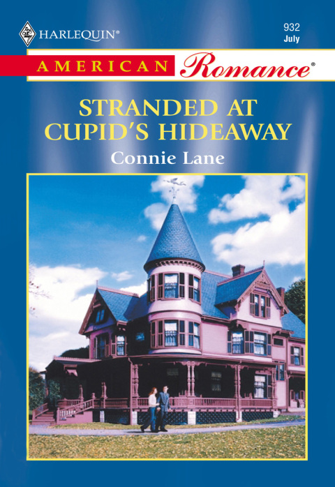 Cover image for book STRANDED AT CUPID'S HIDEAWAY