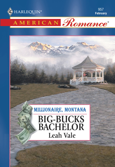 Cover image for book BIG-BUCKS BACHELOR