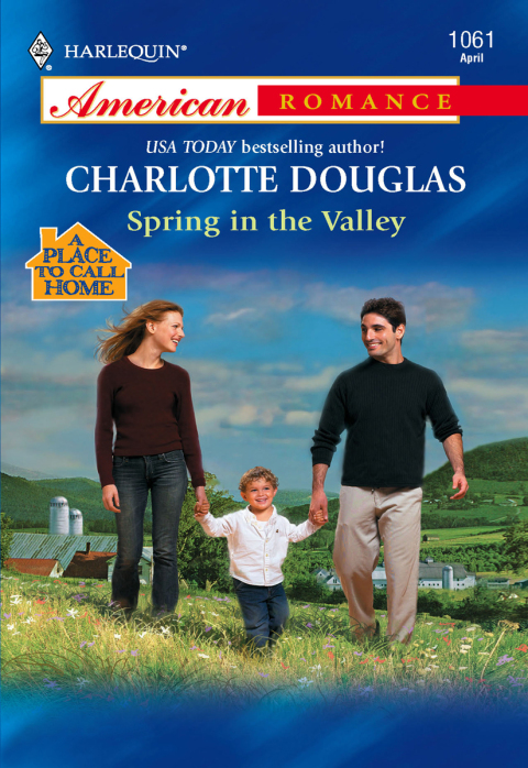 Cover image for book Spring in the Valley