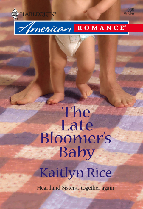 Cover image for book The Late Bloomer's Baby