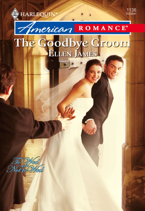Cover image for book The Goodbye Groom