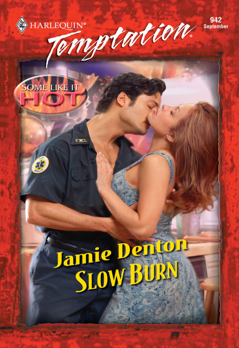 Cover image for book SLOW BURN
