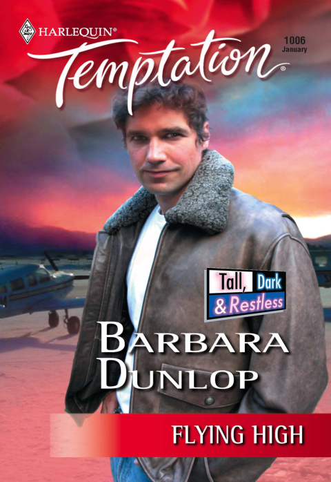 Cover image for book Flying High