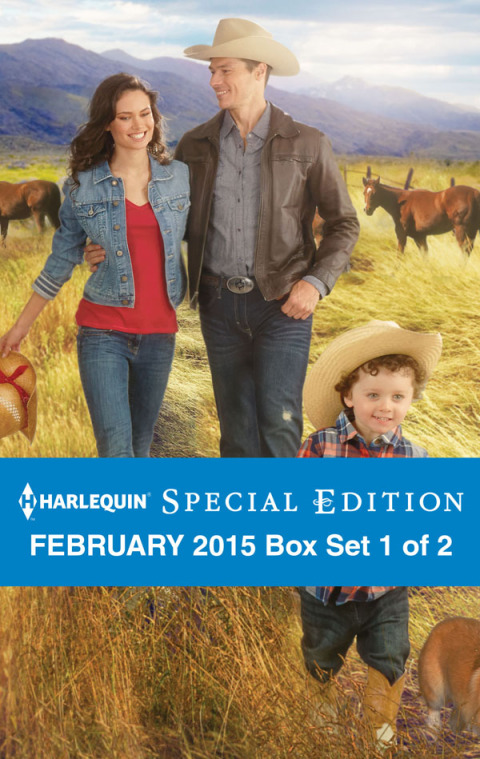 Cover image for book Harlequin Special Edition February 2015 - Box Set 1 of 2