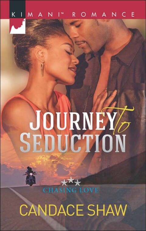 Cover image for book Journey to Seduction