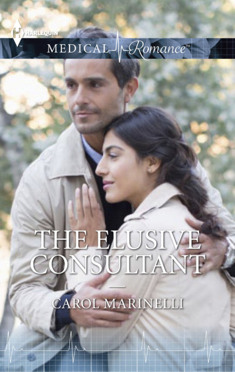 Cover image for book THE ELUSIVE CONSULTANT