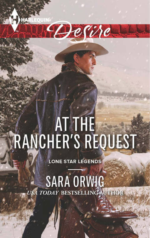 Cover image for book At the Rancher's Request