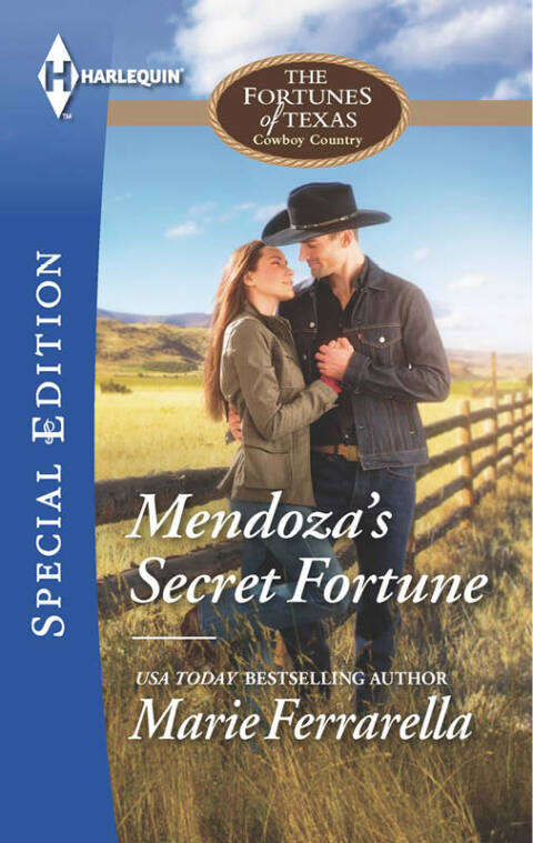 Cover image for book Mendoza's Secret Fortune