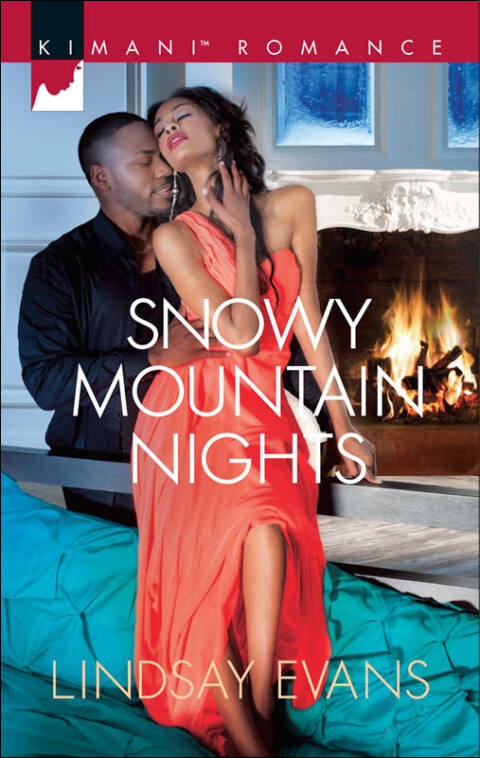 Cover image for book Snowy Mountain Nights