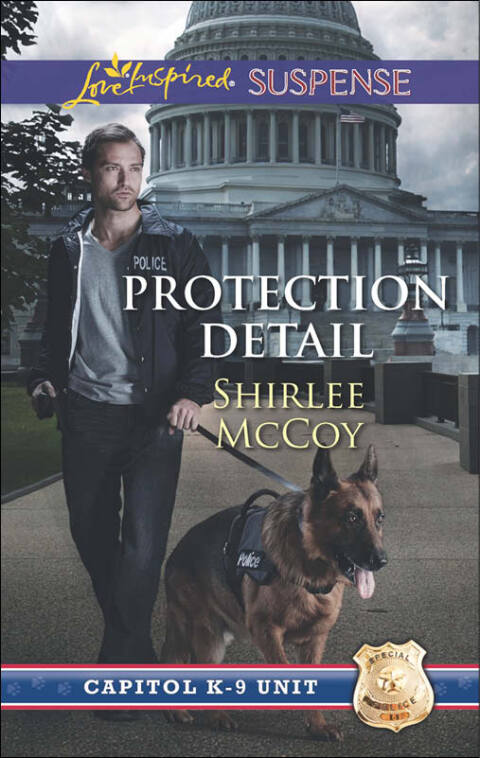 Cover image for book Protection Detail