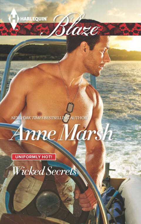 Cover image for book Wicked Secrets