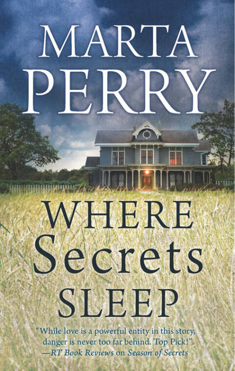 Cover image for book Where Secrets Sleep