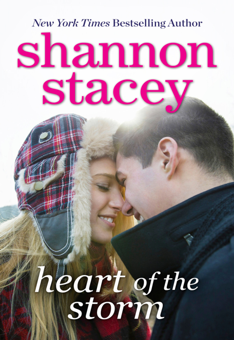 Cover image for book Heart of the Storm