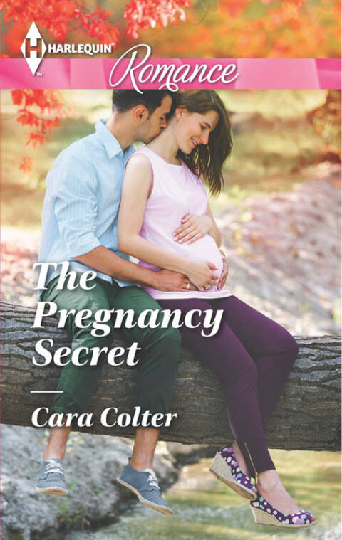 Cover image for book The Pregnancy Secret