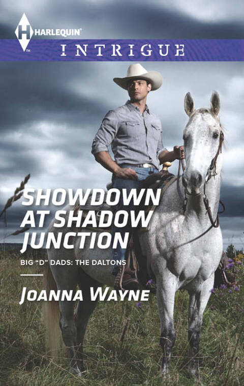 Cover image for book Showdown at Shadow Junction