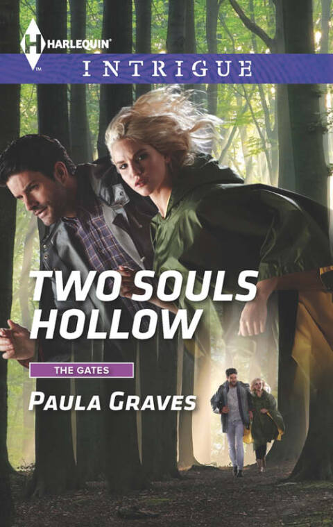 Cover image for book Two Souls Hollow