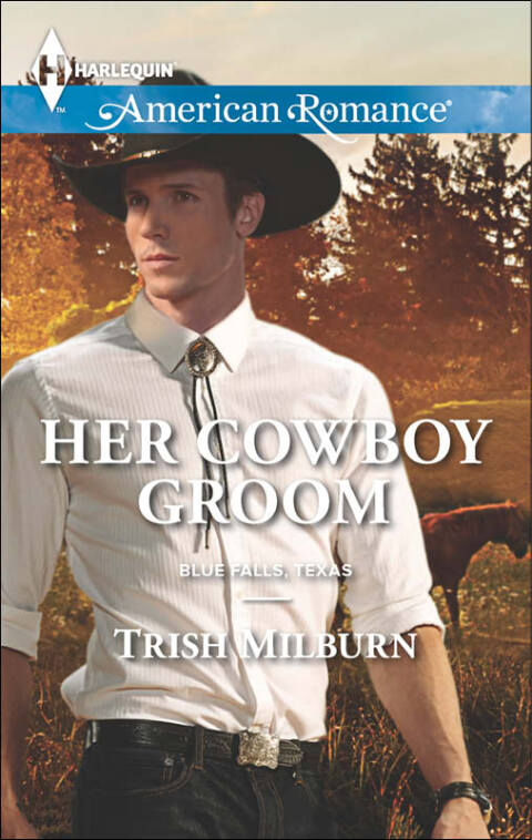 Cover image for book Her Cowboy Groom