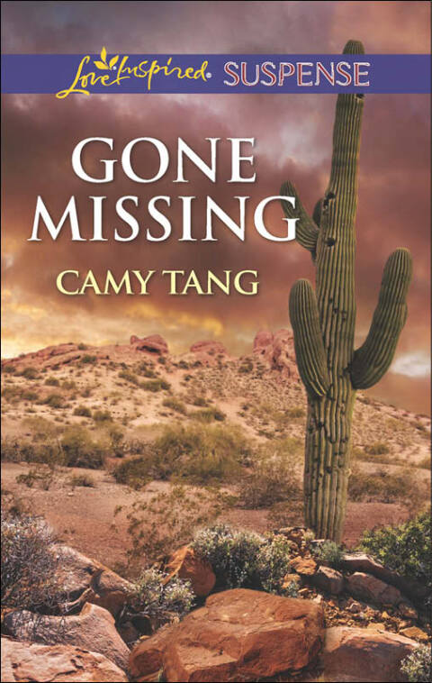 Cover image for book Gone Missing