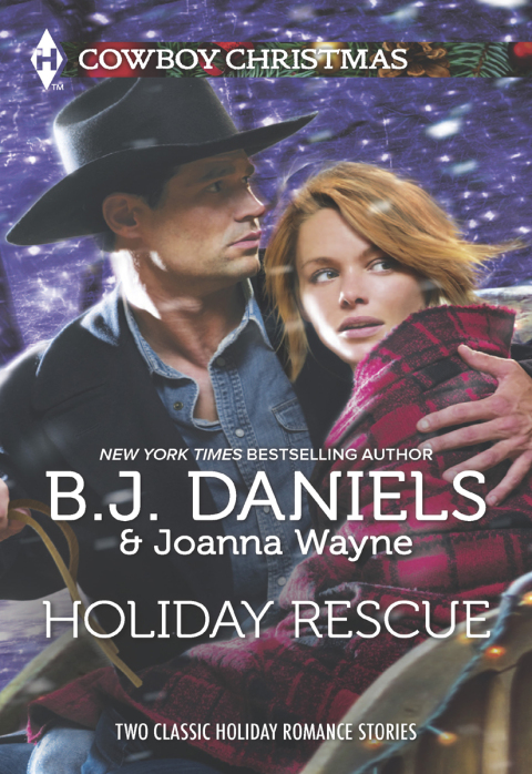 Cover image for book Holiday Rescue