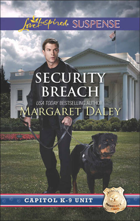 Cover image for book Security Breach