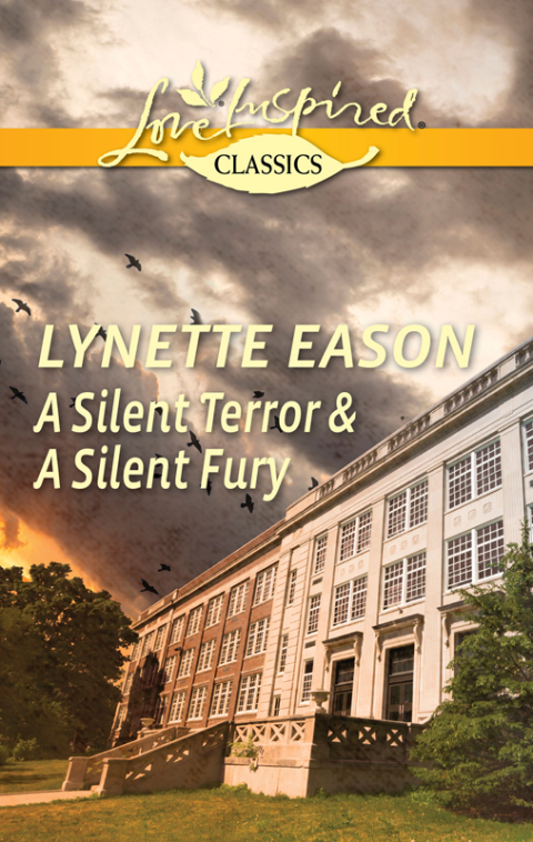 Cover image for book A Silent Terror & A Silent Fury
