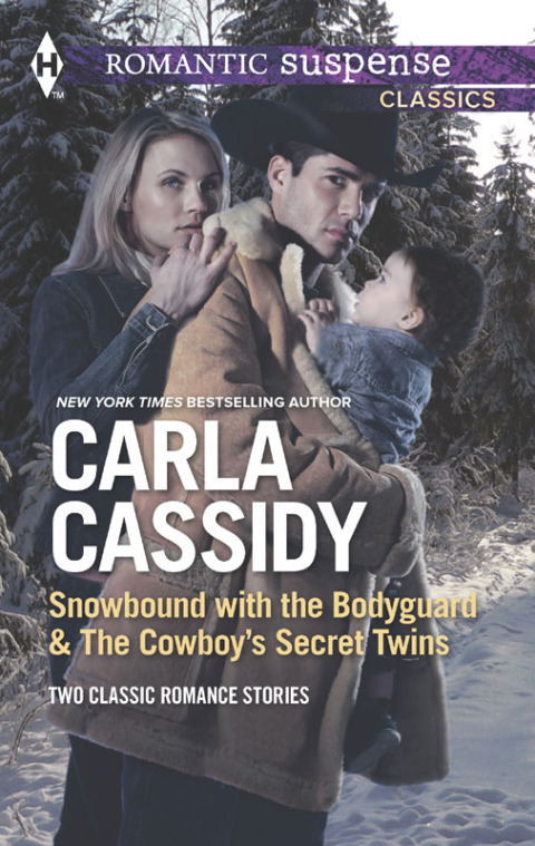 Cover image for book Snowbound with the Bodyguard & The Cowboy's Secret Twins