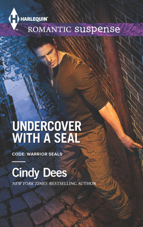Undercover with a Seal 