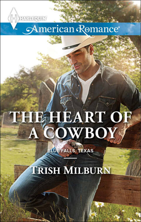 Cover image for book The Heart of a Cowboy