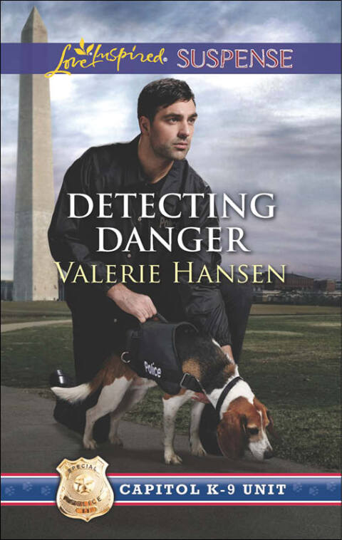 Cover image for book Detecting Danger