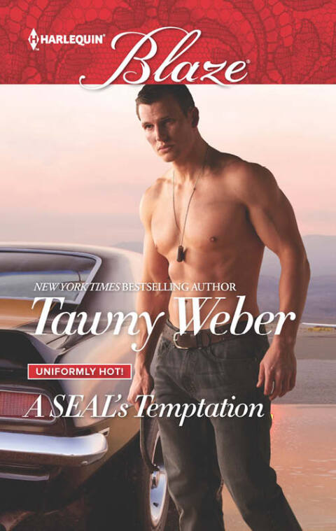 Cover image for book A SEAL's Temptation