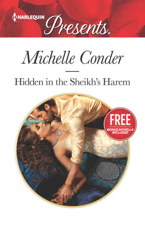 Cover image for book Hidden in the Sheikh's Harem