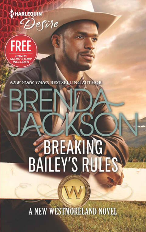 Cover image for book Breaking Bailey's Rules