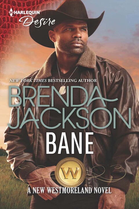 Cover image for book Bane