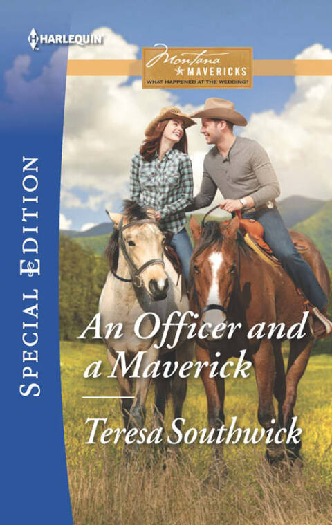 Cover image for book An Officer and a Maverick
