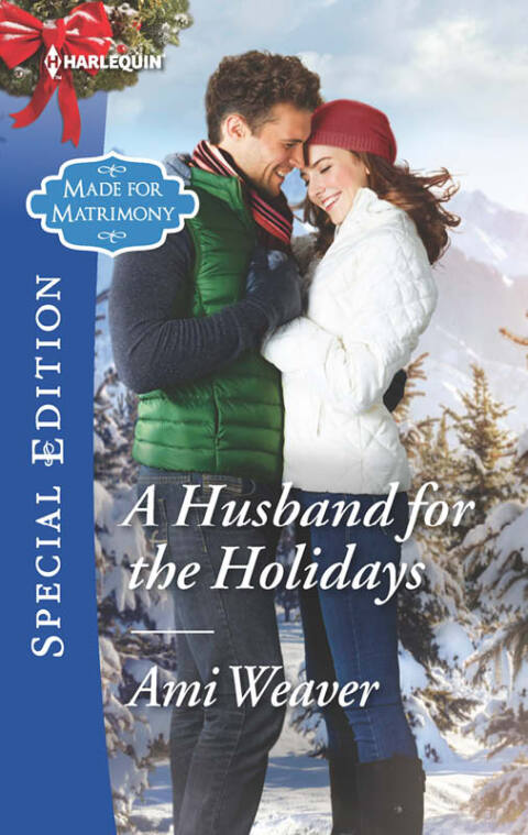 Cover image for book A Husband for the Holidays