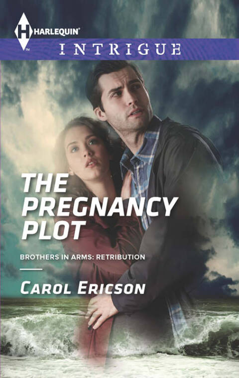 Cover image for book The Pregnancy Plot
