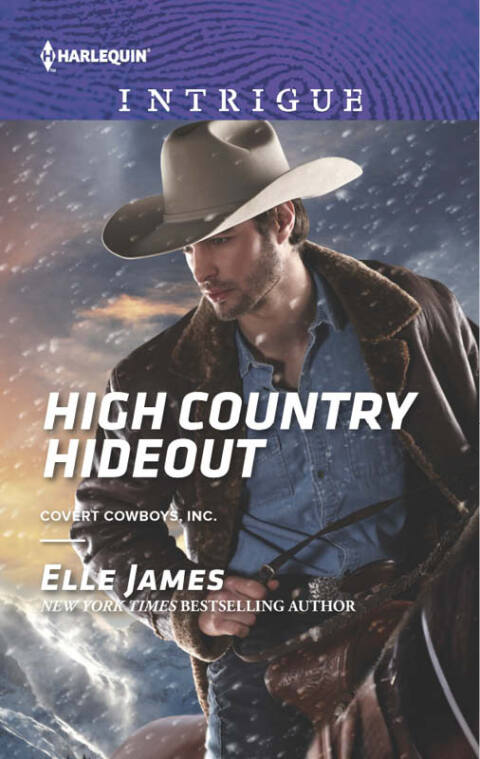 Cover image for book High Country Hideout