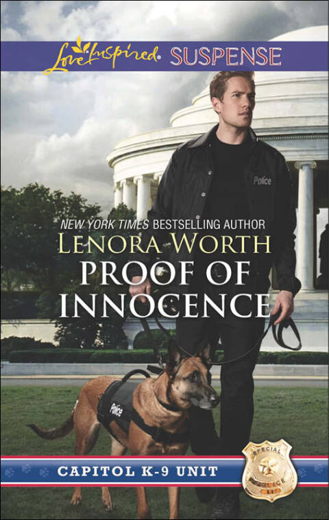 Cover image for book Proof of Innocence