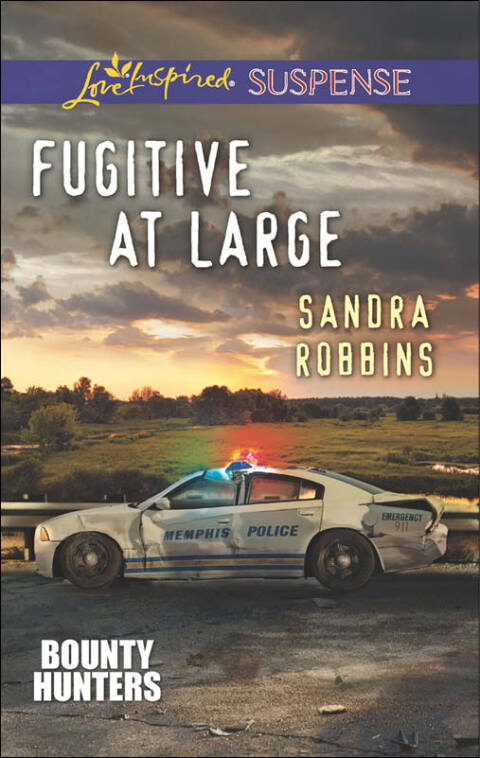 Cover image for book Fugitive at Large