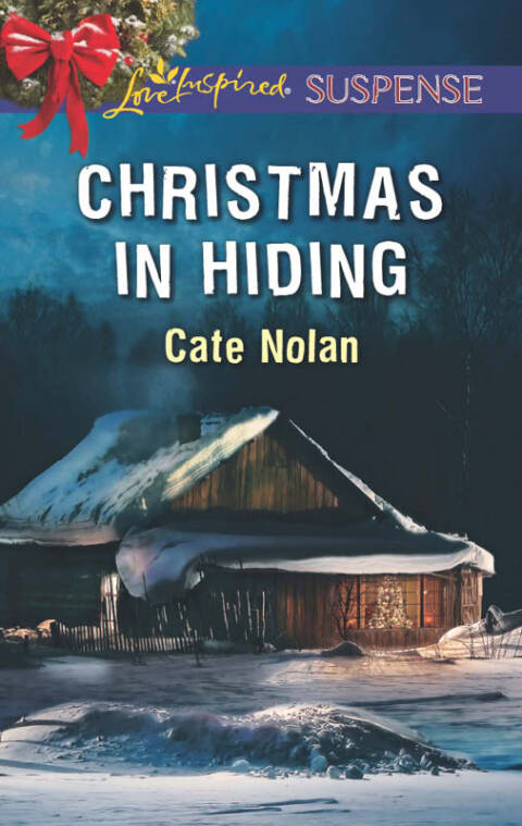 Cover image for book Christmas in Hiding