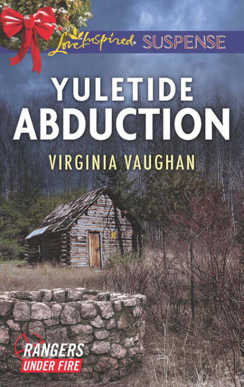 Cover image for book Yuletide Abduction