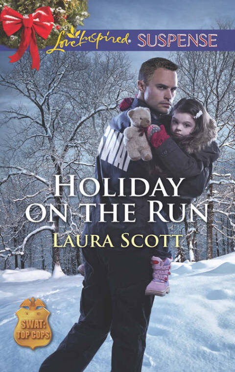 Cover image for book Holiday on the Run
