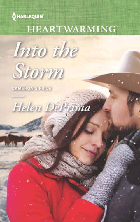 Cover image for book Into the Storm