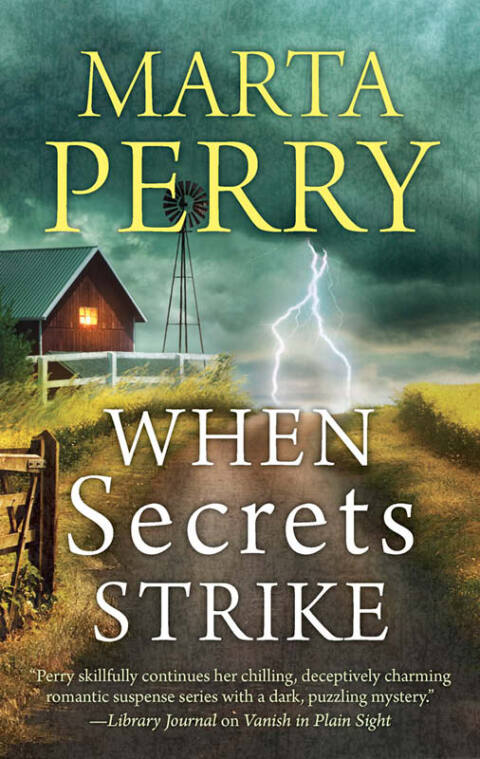 Cover image for book When Secrets Strike