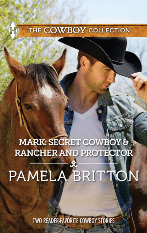 Cover image for book Mark: Secret Cowboy & Rancher and Protector