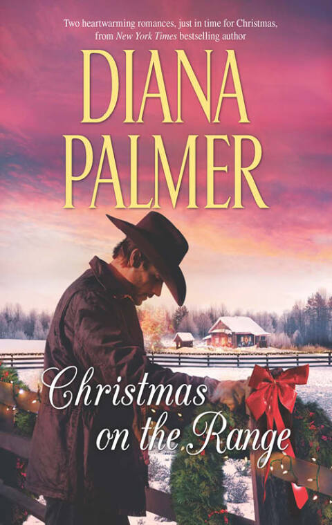 Cover image for book Christmas on the Range